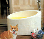 �h�b�N�X�p�G�b�O�^�C�v