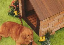 �~�b�N�X�@