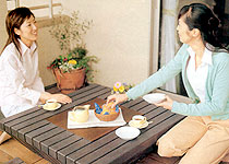 �K�[�f��IRORI 900�^�C�v�@���ؐF