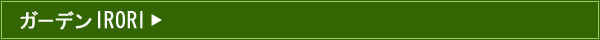 �K�[�f��IRORI
