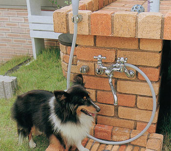 �X�^���h�^�C�v�@�~�b�N�X