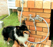 �V�����[�v���C�X