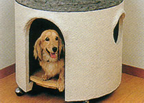 �A�C�{���[