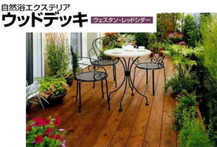 �s�n�d�w�i���m�G�N�X�e���A�j�E�b�h�f�b�L�F�E�G�X�^�����b�h�V�_�[